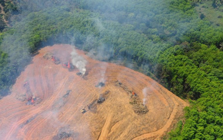 brazilian_amazon_shows_signs_of_increasing_deforestation_despite_promises-1