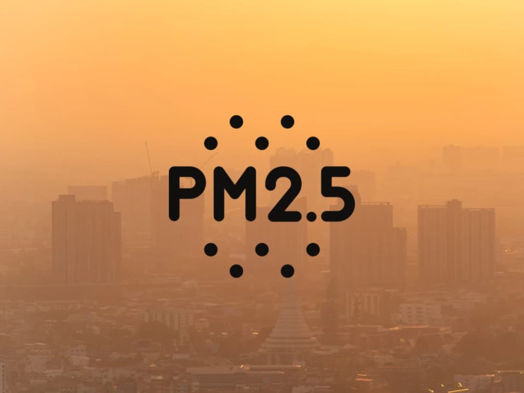 ค่าฝุ่น PM 2.5 มีผลต่อสุขภาพ