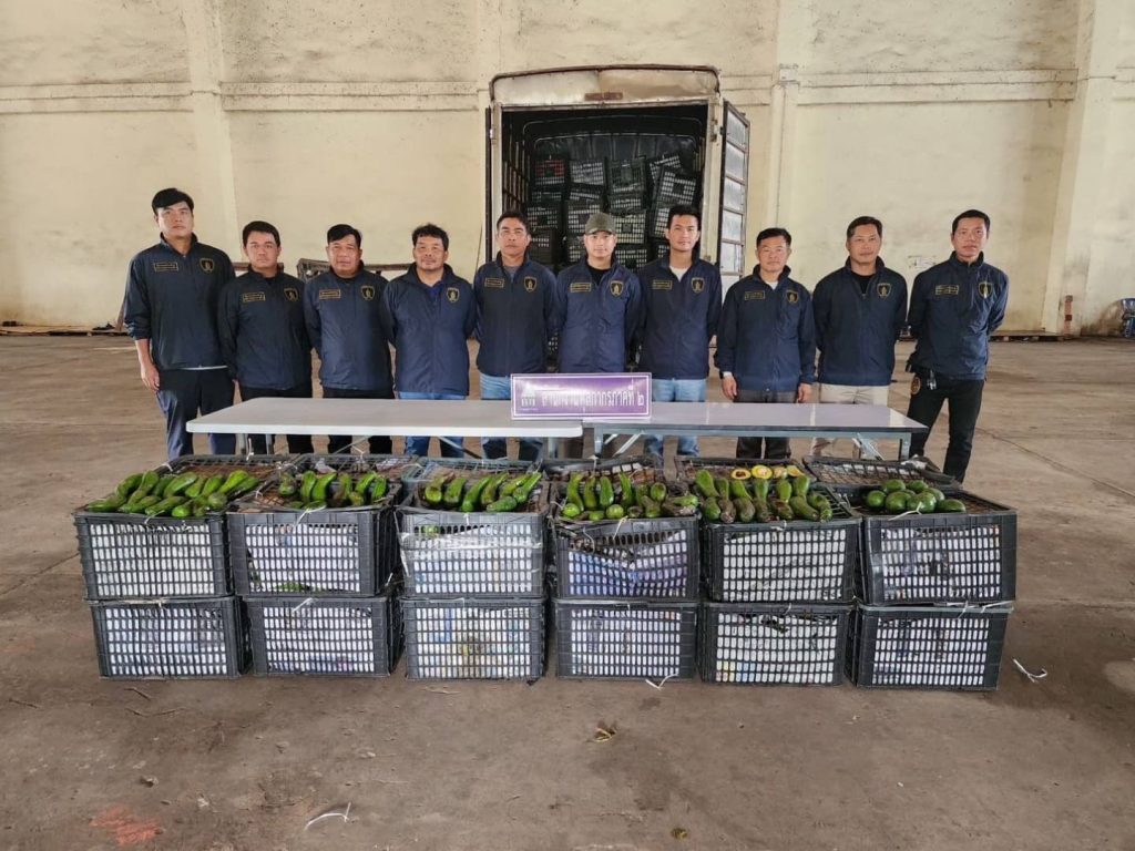 ศุลกากรปราบปรามภาค 2 สกัดกั้นจับกุมตรวจยึดอะโวคาโด อย่างต่อเนื่อง