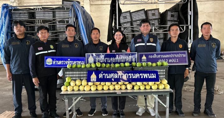 ศุลกากร ภาคที่ 2 จับมะม่วงลักลอบนำเข้ามูลค่า 2.5 แสนบาท