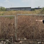 625006364_1533175145058557_7249193456023471760_n