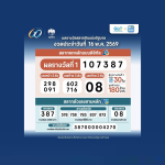 สลากดิจิทัลแตก 180 ล้าน! ผู้โชคดีถูกรางวัลที่ 1 บนแอปเป๋าตัง สูงสุดรับ 24 ล้าน
