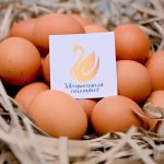 กรมปศุสัตว์ เปิดตัวไข่ “สุพรรณหงส์” ยกระดับมาตรฐานไข่ไก่ไทย 